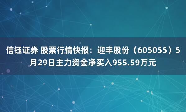 信钰证券 股票行情快报：迎丰股份（605055）5月29日主力资金净买入955.59万元