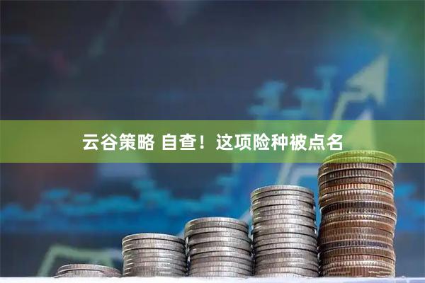 云谷策略 自查！这项险种被点名
