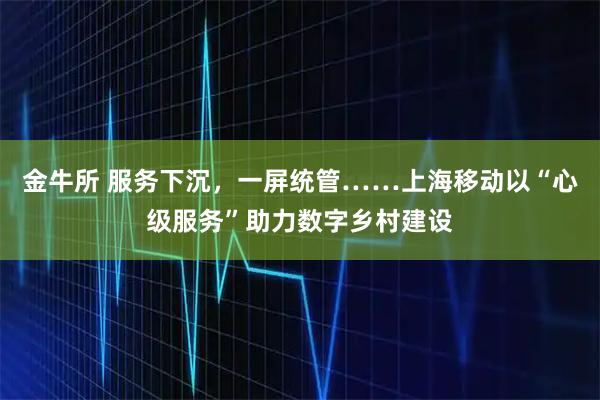 金牛所 服务下沉，一屏统管……上海移动以“心级服务”助力数字乡村建设