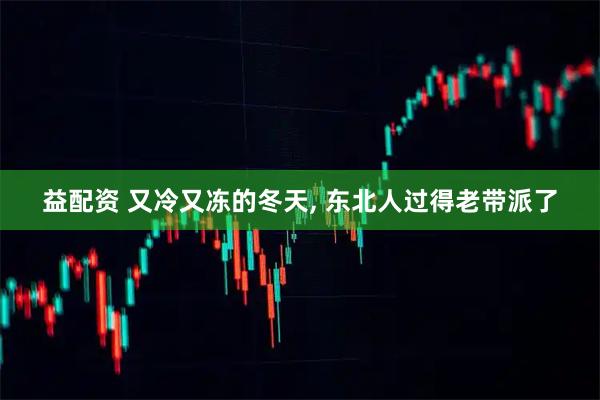 益配资 又冷又冻的冬天, 东北人过得老带派了