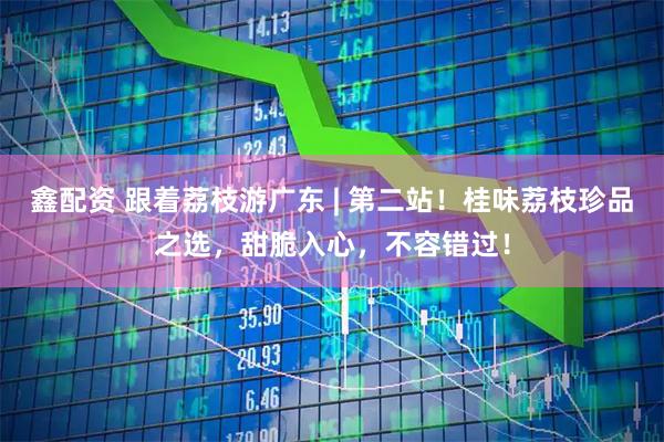 鑫配资 跟着荔枝游广东 | 第二站！桂味荔枝珍品之选，甜脆入心，不容错过！