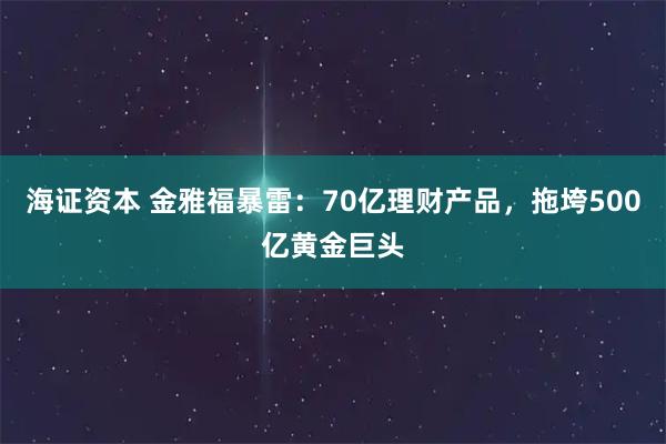 海证资本 金雅福暴雷：70亿理财产品，拖垮500亿黄金巨头