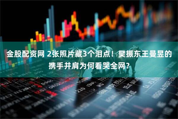 金股配资网 2张照片藏3个泪点！樊振东王曼昱的携手并肩为何看哭全网？