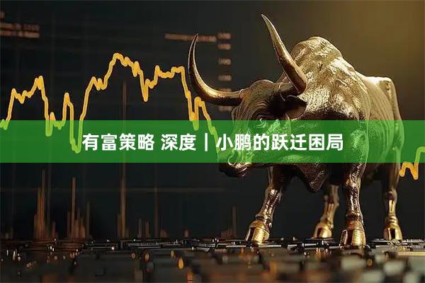 有富策略 深度｜小鹏的跃迁困局